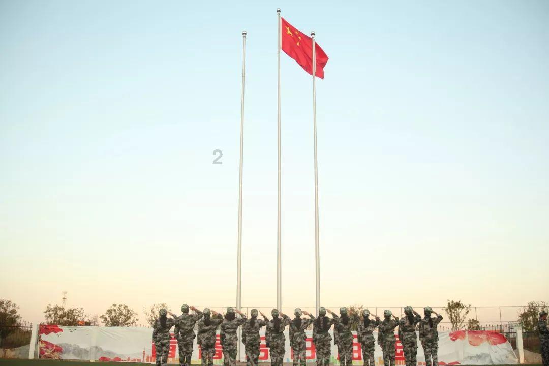国王的坐骑