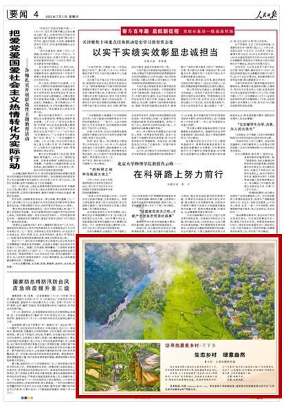 袋鼠逃生