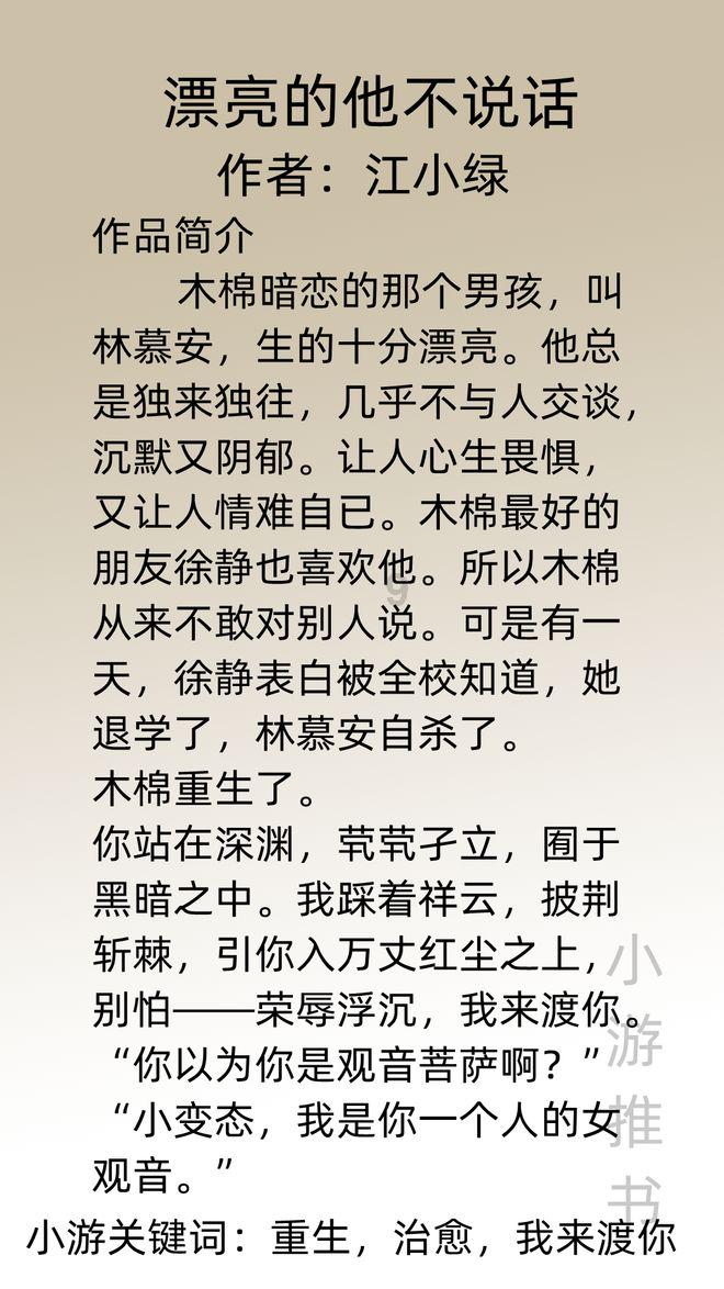疯狂的小偷
